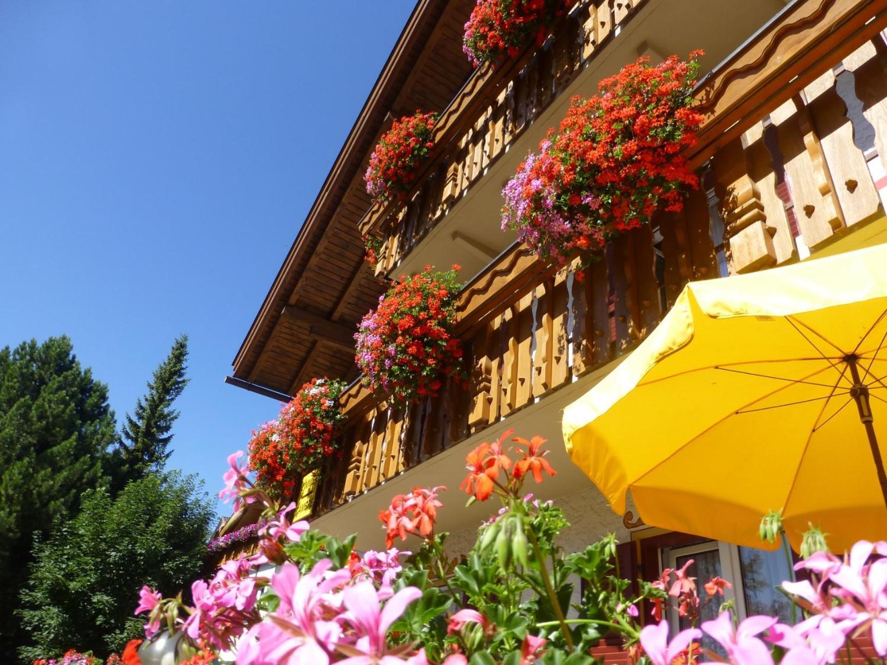 ドッビアーコ Garni Helfer Bed & Breakfast エクステリア 写真