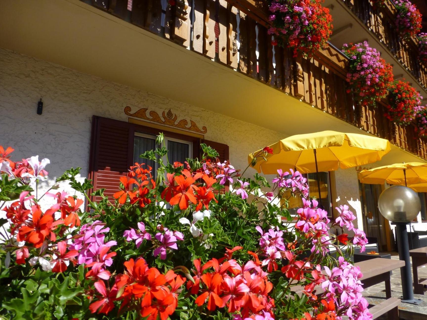ドッビアーコ Garni Helfer Bed & Breakfast エクステリア 写真