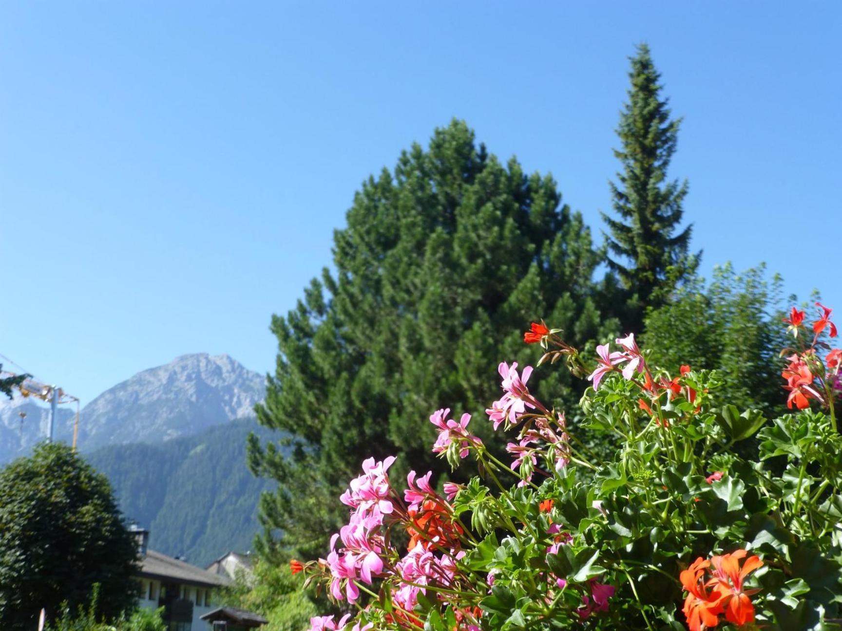 ドッビアーコ Garni Helfer Bed & Breakfast エクステリア 写真